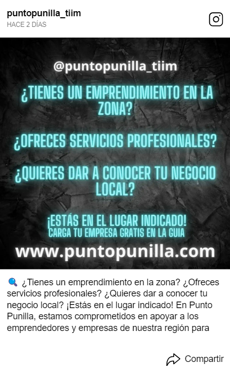 https://www.instagram.com/puntopunilla_tiim
